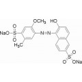 anti-HYAL1 antibody (Hyaluronidase-1) (N-Term)
