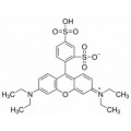 anti-HYAL1 antibody (Hyaluronidase-1) (N-Term)