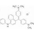 anti-HYAL1 antibody (Hyaluronidase-1) (N-Term)