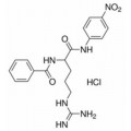 anti-HYAL1 antibody (Hyaluronidase-1) (N-Term)