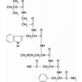 anti-HYAL1 antibody (Hyaluronidase-1) (N-Term)