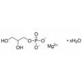 anti-HYAL1 antibody (Hyaluronidase-1) (N-Term)
