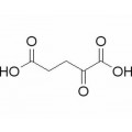 anti-HYAL1 antibody (Hyaluronidase-1) (N-Term)