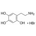 anti-HYAL1 antibody (Hyaluronidase-1) (N-Term)