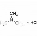 anti-HYAL1 antibody (Hyaluronidase-1) (N-Term)