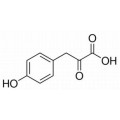 anti-HYAL1 antibody (Hyaluronidase-1) (N-Term)