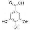 anti-HYAL1 antibody (Hyaluronidase-1) (N-Term)