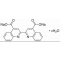 anti-HYAL1 antibody (Hyaluronidase-1) (N-Term)