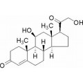 anti-HYAL1 antibody (Hyaluronidase-1) (N-Term)
