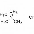 anti-HYAL1 antibody (Hyaluronidase-1) (N-Term)