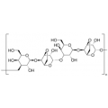 anti-HYAL1 antibody (Hyaluronidase-1) (N-Term)