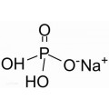 anti-HYAL1 antibody (Hyaluronidase-1) (N-Term)