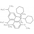 anti-HYAL1 antibody (Hyaluronidase-1) (N-Term)