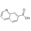 anti-HYAL1 antibody (Hyaluronidase-1) (N-Term)