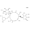 anti-HYAL1 antibody (Hyaluronidase-1) (N-Term)