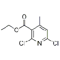 anti-HYAL1 antibody (Hyaluronidase-1) (N-Term)