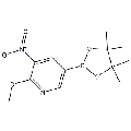 anti-HYAL1 antibody (Hyaluronidase-1) (N-Term)