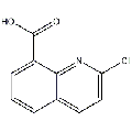 anti-HYAL1 antibody (Hyaluronidase-1) (N-Term)