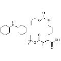 anti-HYAL1 antibody (Hyaluronidase-1) (N-Term)