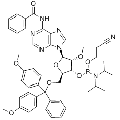 anti-HYAL1 antibody (Hyaluronidase-1) (N-Term)