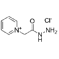 anti-HYAL1 antibody (Hyaluronidase-1) (N-Term)
