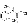 anti-HYAL1 antibody (Hyaluronidase-1) (N-Term)