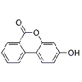 anti-HYAL1 antibody (Hyaluronidase-1) (N-Term)