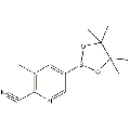 anti-HYAL1 antibody (Hyaluronidase-1) (N-Term)