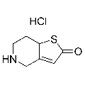 anti-HYAL1 antibody (Hyaluronidase-1) (N-Term)