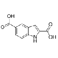anti-HYAL1 antibody (Hyaluronidase-1) (N-Term)