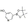 anti-HYAL1 antibody (Hyaluronidase-1) (N-Term)
