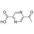 anti-HYAL1 antibody (Hyaluronidase-1) (N-Term)