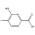 anti-HYAL1 antibody (Hyaluronidase-1) (N-Term)