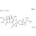 anti-HYAL1 antibody (Hyaluronidase-1) (N-Term)