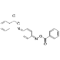 anti-HYAL1 antibody (Hyaluronidase-1) (N-Term)