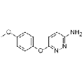 anti-HYAL1 antibody (Hyaluronidase-1) (N-Term)