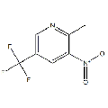 anti-HYAL1 antibody (Hyaluronidase-1) (N-Term)