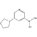 anti-HYAL1 antibody (Hyaluronidase-1) (N-Term)