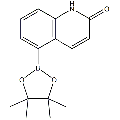 anti-HYAL1 antibody (Hyaluronidase-1) (N-Term)