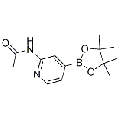 anti-HYAL1 antibody (Hyaluronidase-1) (N-Term)