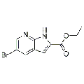 anti-HYAL1 antibody (Hyaluronidase-1) (N-Term)