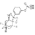 anti-HYAL1 antibody (Hyaluronidase-1) (N-Term)