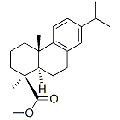 anti-HYAL1 antibody (Hyaluronidase-1) (N-Term)