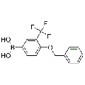 anti-HYAL1 antibody (Hyaluronidase-1) (N-Term)