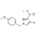 anti-HYAL1 antibody (Hyaluronidase-1) (N-Term)