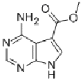 anti-HYAL1 antibody (Hyaluronidase-1) (N-Term)