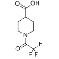 anti-HYAL1 antibody (Hyaluronidase-1) (N-Term)