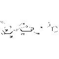 anti-HYAL1 antibody (Hyaluronidase-1) (N-Term)
