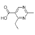 anti-HYAL1 antibody (Hyaluronidase-1) (N-Term)