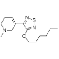 anti-HYAL1 antibody (Hyaluronidase-1) (N-Term)